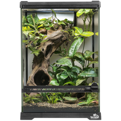Terrarium szklane Terrario Oasis Verde 5 20x20x30 cm
