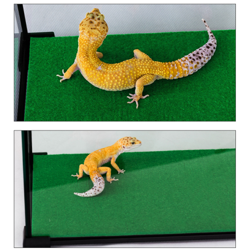 Mata terrarystyczna Repti-Zoo Carpet Mat 20x20 cm