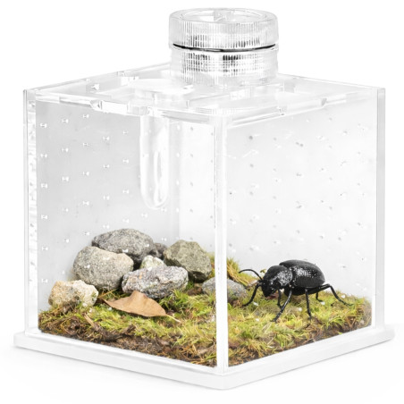 Terrarium akrylowe Terrario SpiderNook L mini z oświetleniem LED