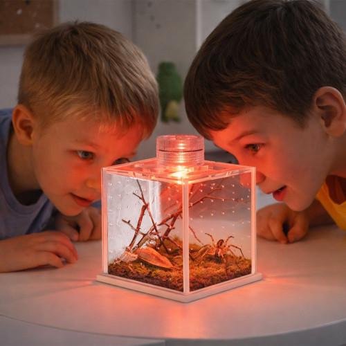 Terrarium akrylowe Terrario SpiderNook L mini z oświetleniem LED