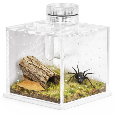 Terrarium akrylowe Terrario SpiderNook L mini z oświetleniem LED