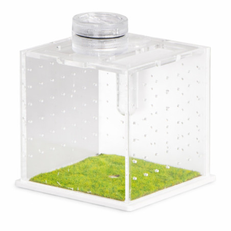 Terrarium akrylowe Terrario SpiderNook L mini z oświetleniem LED