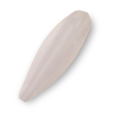 MediSepia Cuttlebone - sepia w całości naturalna | Naturalny wapń dla ptaków