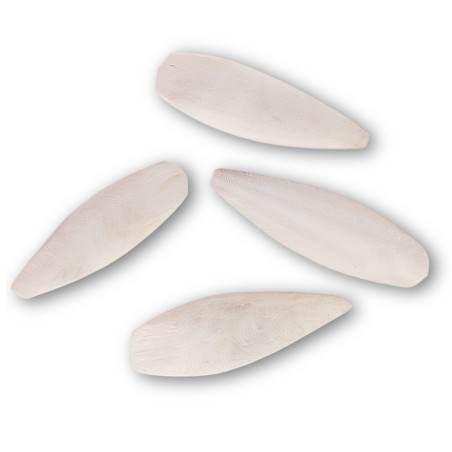 MediSepia Cuttlebone - sepia w całości naturalna | Naturalny wapń dla ptaków