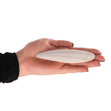 MediSepia Cuttlebone - sepia w całości naturalna | Naturalny wapń dla ptaków