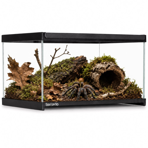 Terrarium szklane Terrario Frevo Clear 30x20x17 cm, przezroczyste