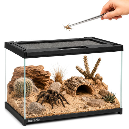 Terrarium szklane Terrario Frevo Clear 30x20x17 cm, przezroczyste