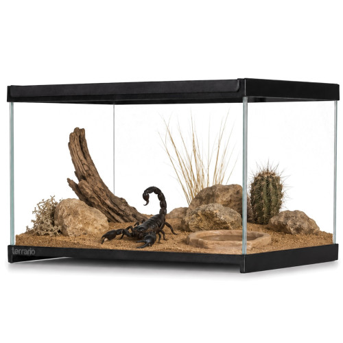 Terrarium szklane Terrario Frevo Clear 30x20x17 cm, przezroczyste