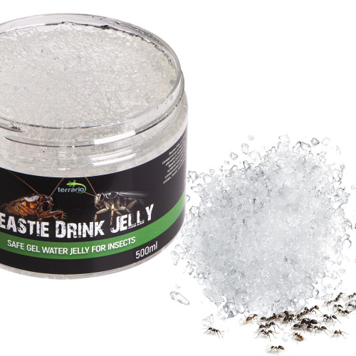 Terrario Beastie Drink Jelly 600g - Hydratacja bez bałaganu dla gadów i owadów