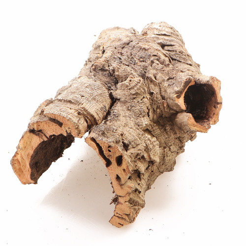 Kora z Dębu Korkowego - na wagę | Naturalna dekoracja do terrarium