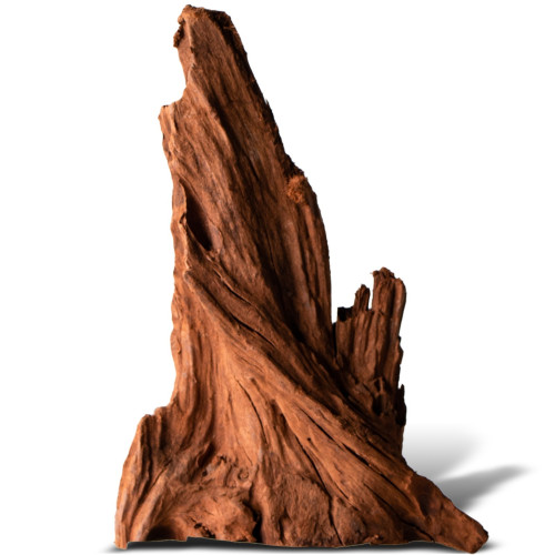 Philippines Classic Driftwood drzewo mangrowca z wody S ok.20cm | Idealne do akwarium