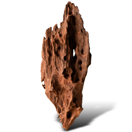 Philippines Classic Driftwood drzewo mangrowca z wody S ok.20cm | Idealne do akwarium
