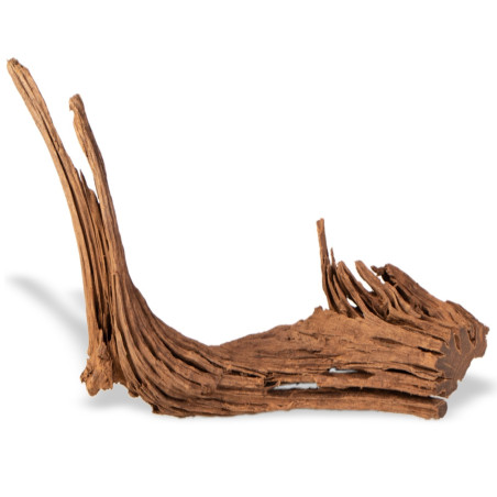 Philippines Classic Driftwood drzewo mangrowca z wody S ok.20cm | Idealne do akwarium
