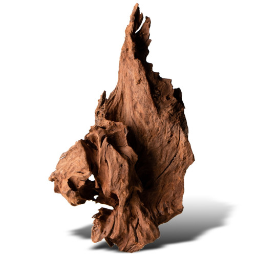 Philippines Classic Driftwood drzewo mangrowca z wody S ok.20cm | Idealne do akwarium
