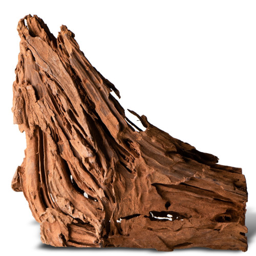 Philippines Classic Driftwood drzewo mangrowca z wody S ok.20cm | Idealne do akwarium