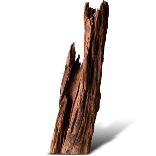 Philippines Classic Driftwood drzewo mangrowca z wody S ok.20cm | Idealne do akwarium