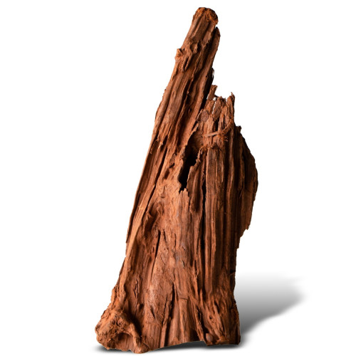 Philippines Classic Driftwood drzewo mangrowca z wody S ok.20cm | Idealne do akwarium