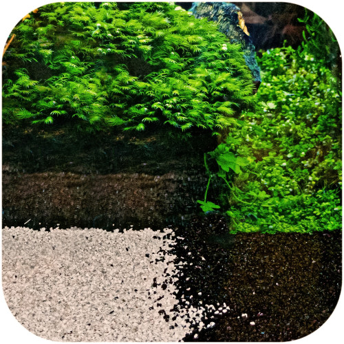 Eco Plant Black River 1kg - żwirek czarny 2-4mm | Idealny do akwarium roślinnego