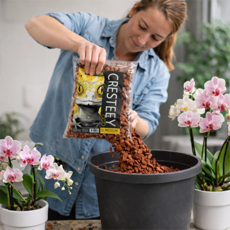 Podłoże kokosowe Aventerra CRESTEEY 5 l Medium – zrębki kokosa do terrarium