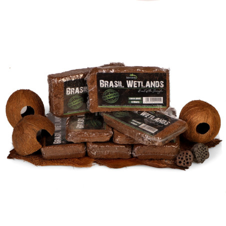 Terrario Brasil Wetlands 4l | Idealne podłoże z włókien kokosa do terrarium