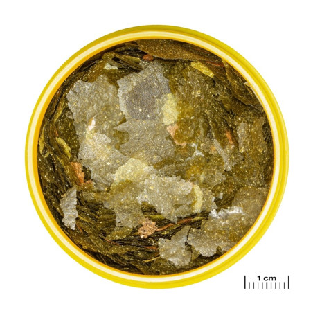 JBL Pronovo Malawi Flakes M - pokarm w płatkach dla pielęgnic 250ml | Wzmacnia barwy i kondycję