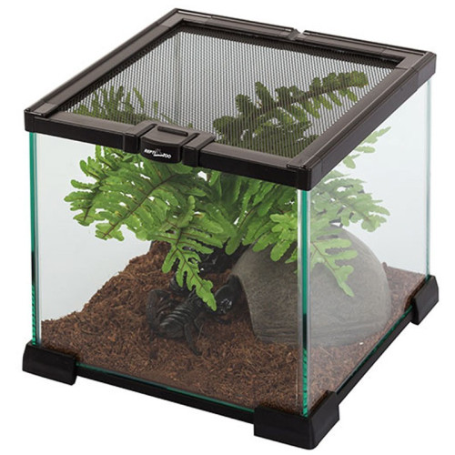 Repti-Zoo Terrarium AK 21x21x15 - Idealne dla małych gadów