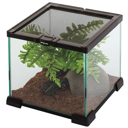 Repti-Zoo Terrarium AK 21x21x15 - Idealne dla małych gadów