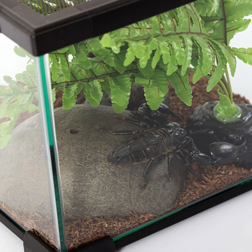 Repti-Zoo Terrarium AK 21x21x15 - Idealne dla małych gadów