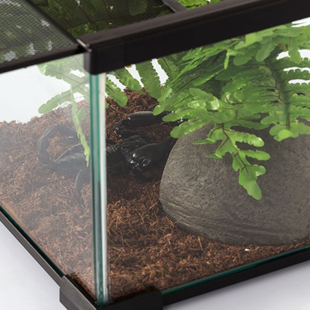 Repti-Zoo Terrarium AK 21x21x15 - Idealne dla małych gadów
