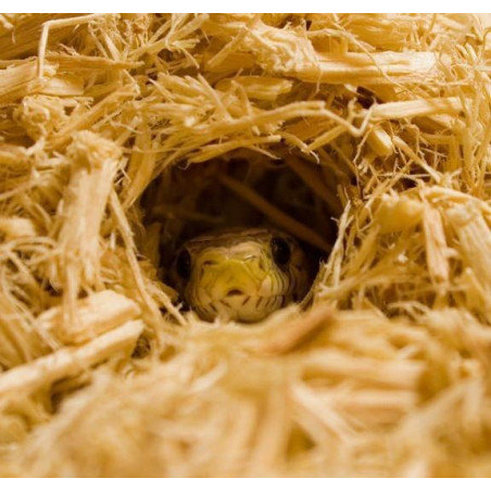 HappyPet Aspen Bed 12l - chłonące podłoże dla gryzoni | Długotrwała chłonność i świeżość