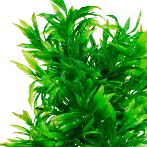 Kruger Meier Plant Tall Leaf - Realistyczny wygląd akwarium, bez pielęgnacji