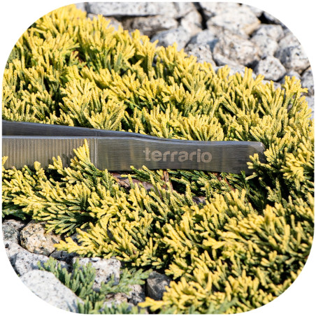 Terrario ViperTweez Simple XXL - pęseta prosta 48cm | Idealna do bezpiecznego karmienia dużych gadów