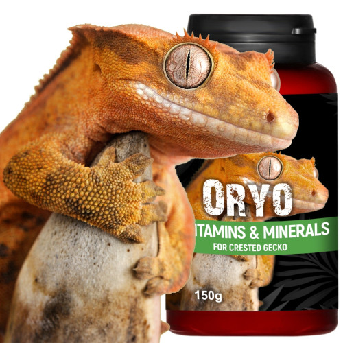 Terrario ORYO for Crested Gecko 150g - Wspiera zdrowie i witalność