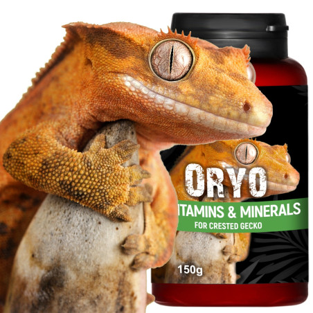 Terrario ORYO for Crested Gecko 150g - Wspiera zdrowie i witalność