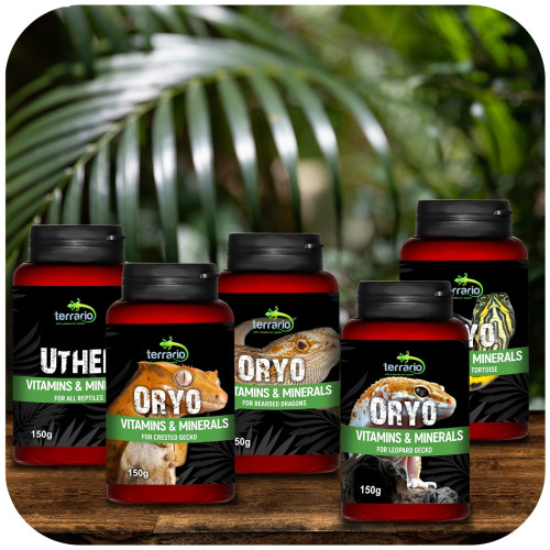Terrario ORYO for Crested Gecko 150g - Wspiera zdrowie i witalność