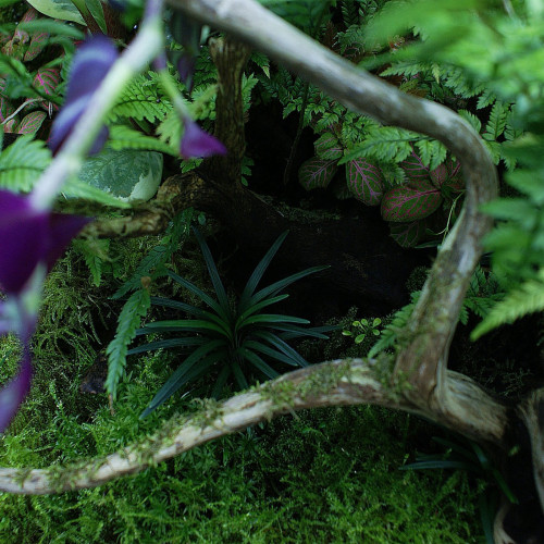 YOKUCHI HAISUI BASE 0,5L - Idealne podłoże drenażowe do terrarium