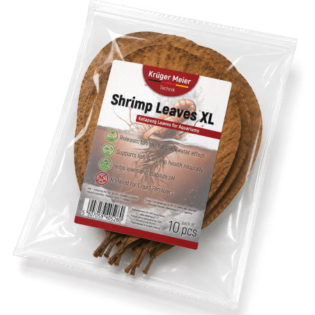 Liście ketapangu Kruger Meier Shrimp Leaves XL 10 szt. obniżające pH