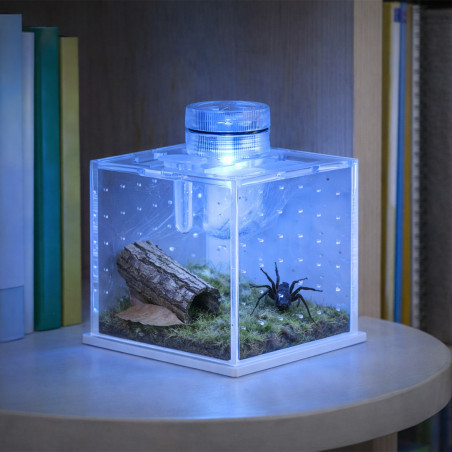Terrarium akrylowe Terrario SpiderNook M z oświetleniem