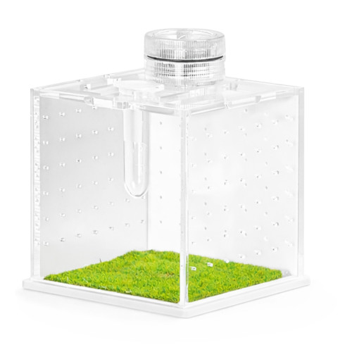 Terrarium akrylowe Terrario SpiderNook M z oświetleniem