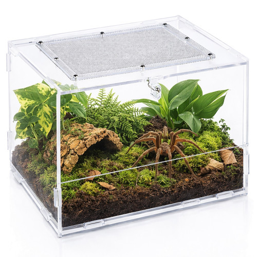 Terrarium akrylowe Repti-Zoo PACR87 20×15×15 cm