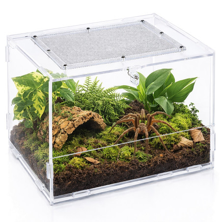 Terrarium akrylowe Repti-Zoo PACR87 20×15×15 cm