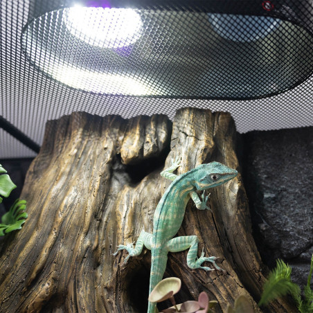 Żarówka LED UVB Repti-Zoo Desert & Tropical – uniwersalna do terrarium (pustynne i tropikalne)