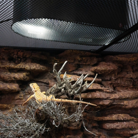 Żarówka LED UVB Repti-Zoo Desert & Tropical – uniwersalna do terrarium (pustynne i tropikalne)