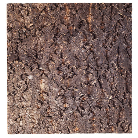 Repti-Zoo Big Tree Background tło z kory 30x30cm - naturalny wygląd, szybki montaż