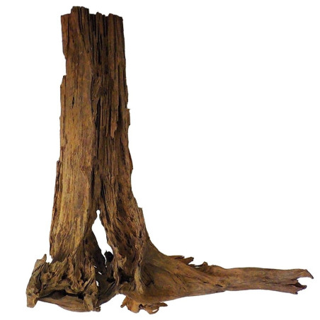 Philippines Classic Driftwood - drzewo mangrowca z wody XXL 70cm - 110cm | Idealne do naturalnego akwarium