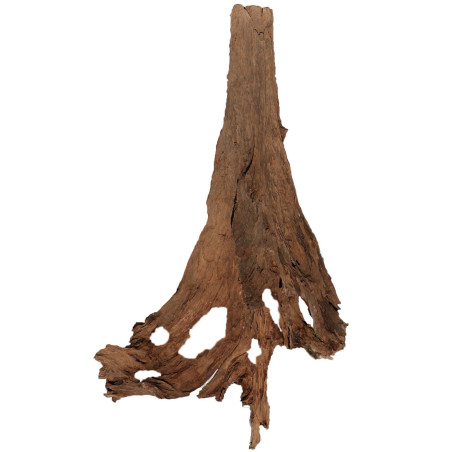 Philippines Classic Driftwood - drzewo mangrowca z wody XXL 70cm - 110cm | Idealne do naturalnego akwarium