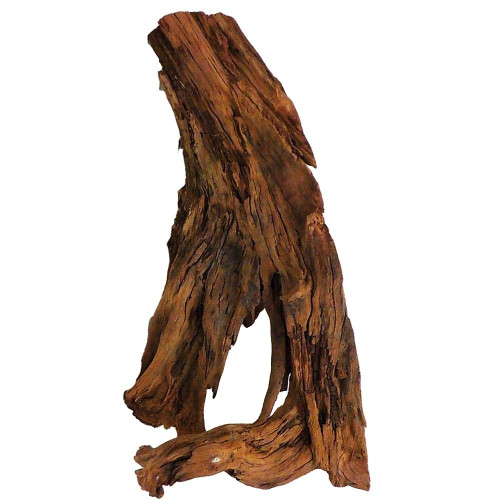 Philippines Classic Driftwood - drzewo mangrowca z wody XXL 70cm - 110cm | Idealne do naturalnego akwarium
