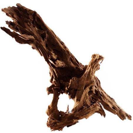 Philippines Classic Driftwood - drzewo mangrowca z wody XXL 70cm - 110cm | Idealne do naturalnego akwarium