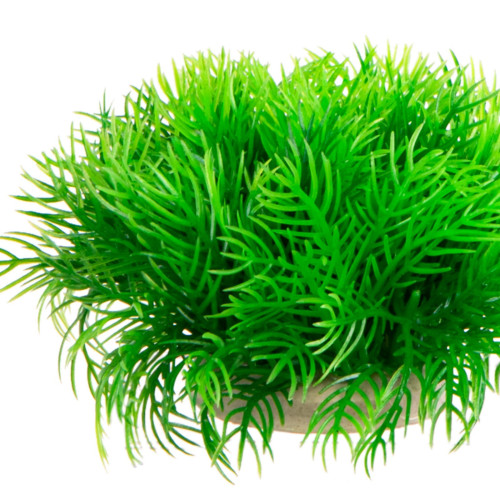 Kruger Meier Plant Slim Green - Naturalny wygląd, bezpieczna dla ryb