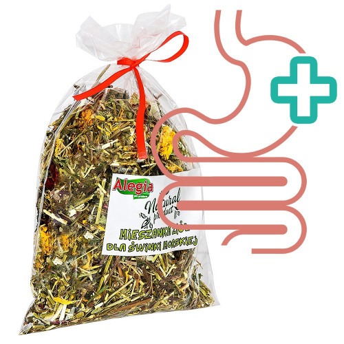 Karma dla świnki morskiej Alegia Mieszanka ziół 100 g